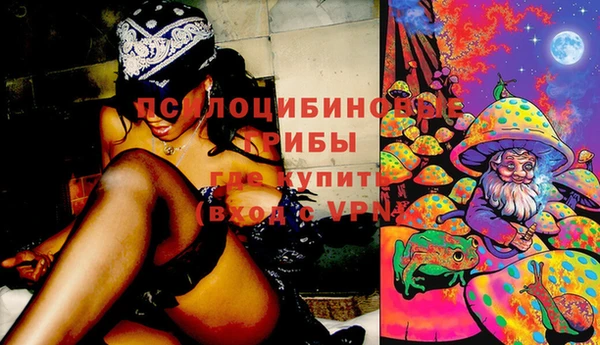 PSILOCYBIN Алексин