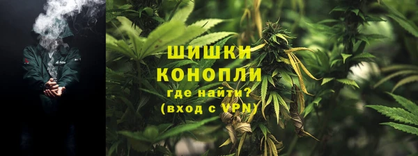 PSILOCYBIN Алексин